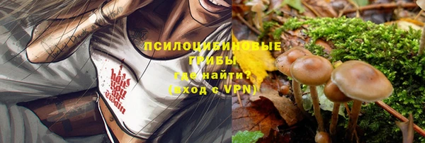 jwh Нея